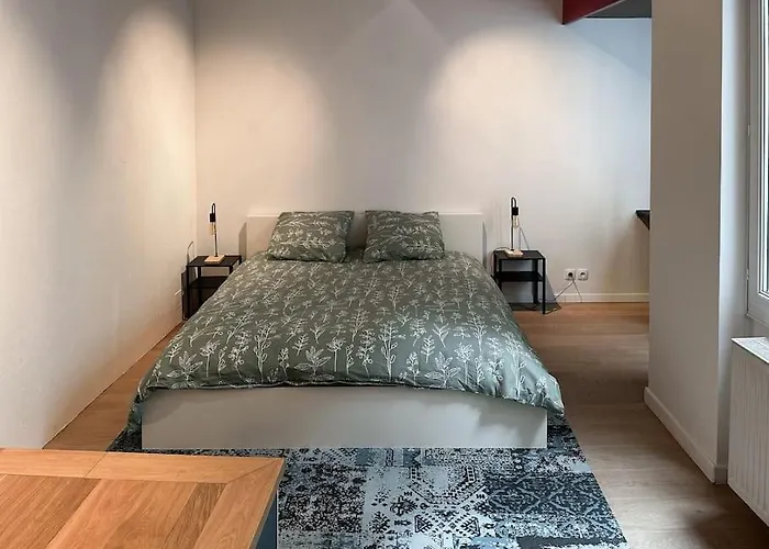 Hypercentre 80M2, A Deux Pas Du Chateau Des Rohan