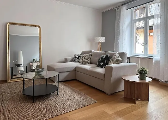 Hypercentre 80M2, A Deux Pas Du Chateau Des Rohan