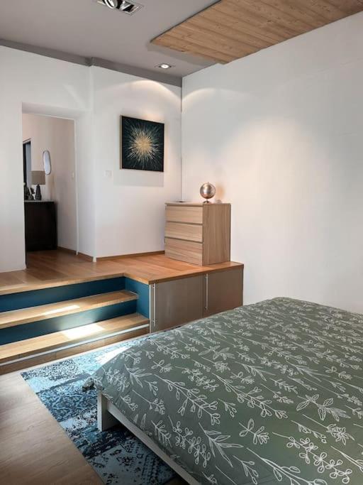 Appartement Hypercentre 80m2, A Deux Pas Du Chateau Des Rohan Saverne