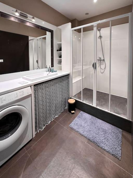 Appartement Hypercentre 80m2, A Deux Pas Du Chateau Des Rohan Saverne