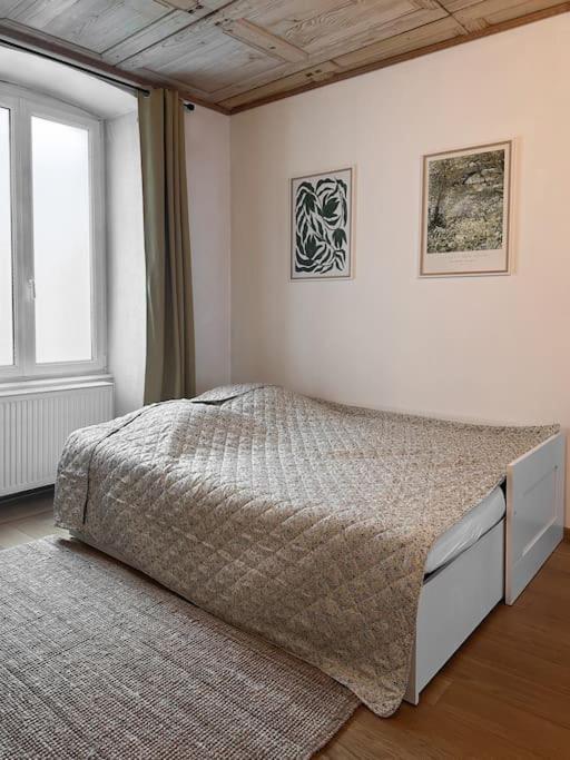 Hypercentre 80m2, A Deux Pas Du Chateau Des Rohan