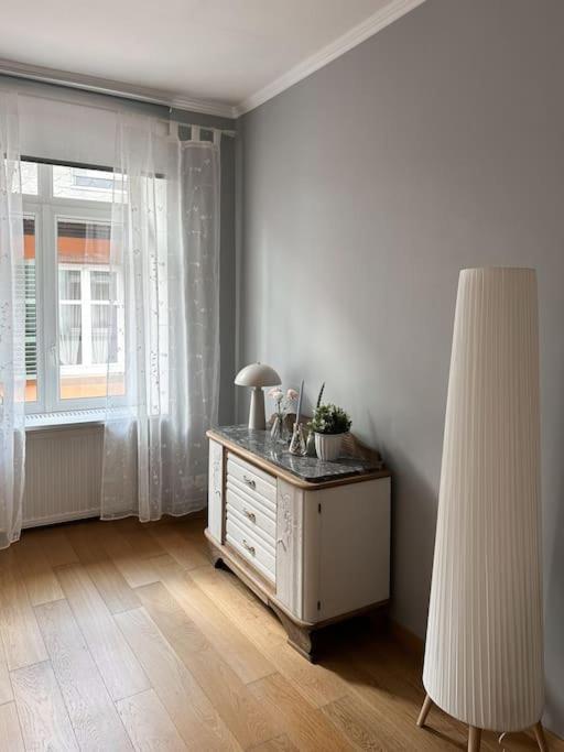 Hypercentre 80m2, A Deux Pas Du Chateau Des Rohan Appartement