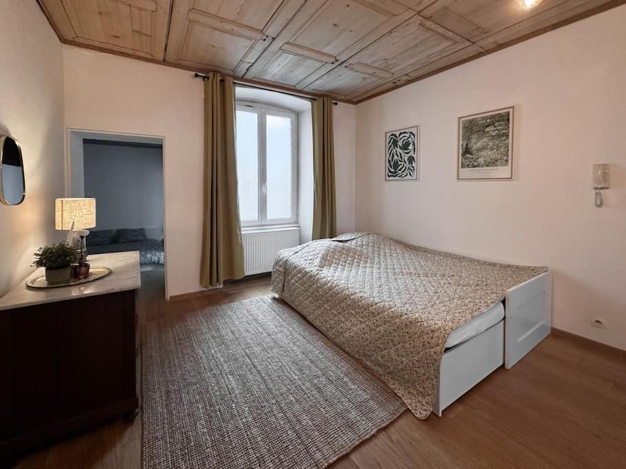 Hypercentre 80m2, A Deux Pas Du Chateau Des Rohan Appartement