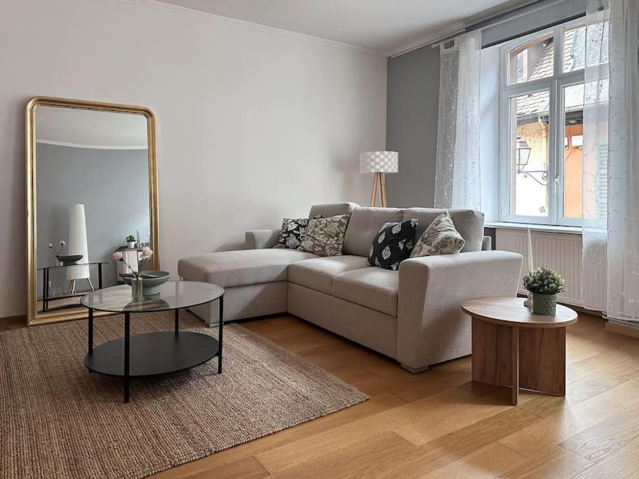 Appartement Hypercentre 80m2, A Deux Pas Du Chateau Des Rohan Saverne