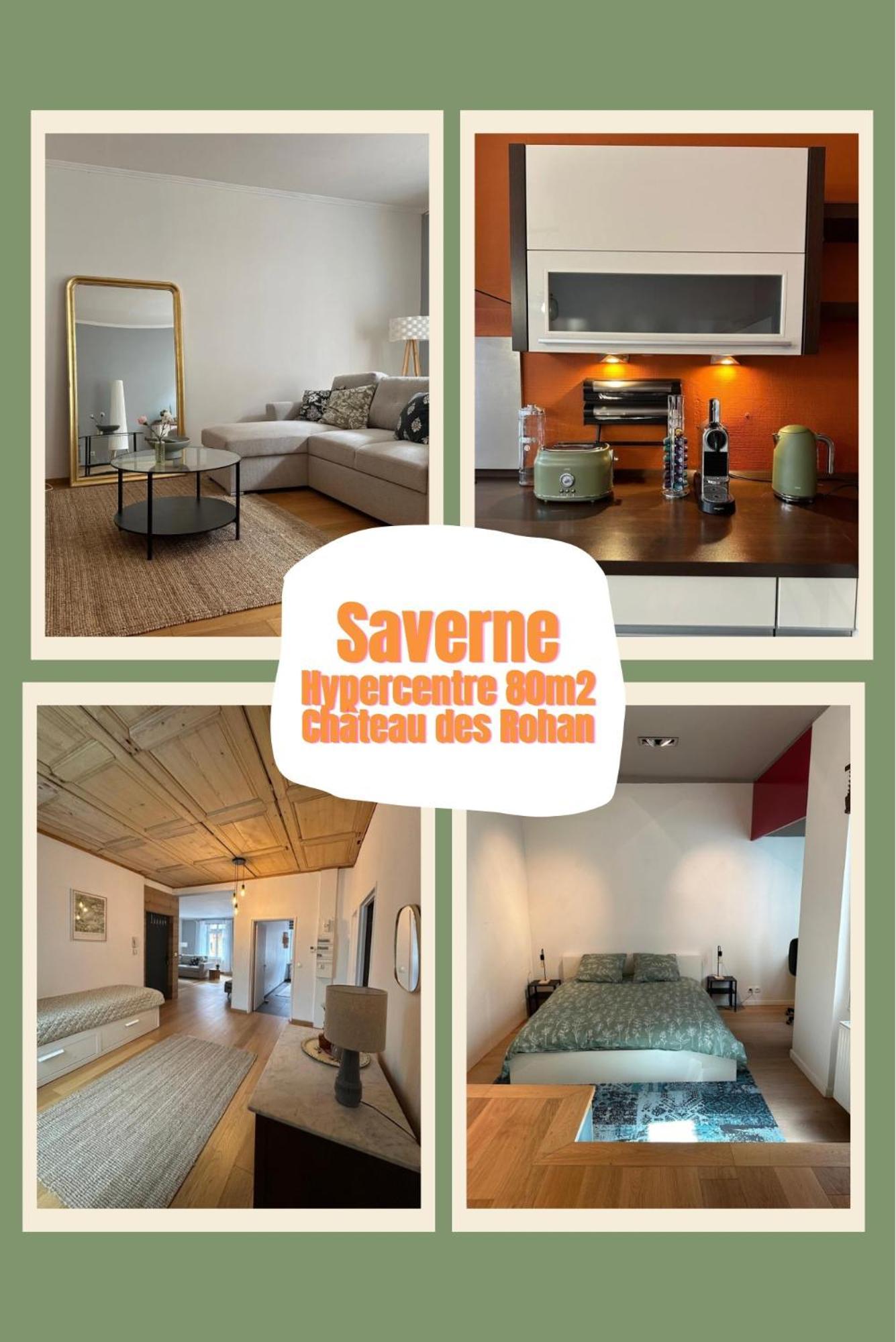 Appartement Hypercentre 80m2, A Deux Pas Du Chateau Des Rohan Saverne